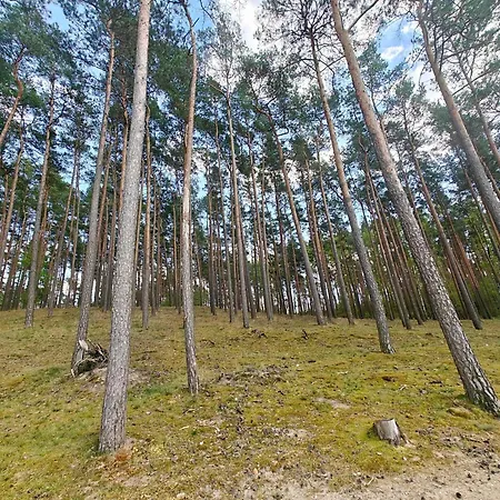 Lesna Ostoja W Centrum Puszczy Nadnoteckiej Otoczona 3 Jeziorami Miedzychod Exterior photo