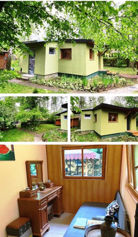 Lesna Ostoja W Centrum Puszczy Nadnoteckiej Otoczona 3 Jeziorami Holiday home *