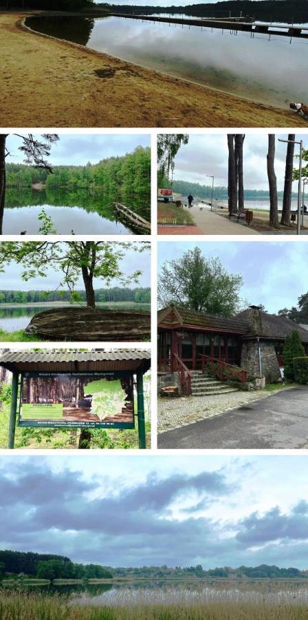 Lesna Ostoja W Centrum Puszczy Nadnoteckiej Otoczona 3 Jeziorami Holiday home Miedzychod