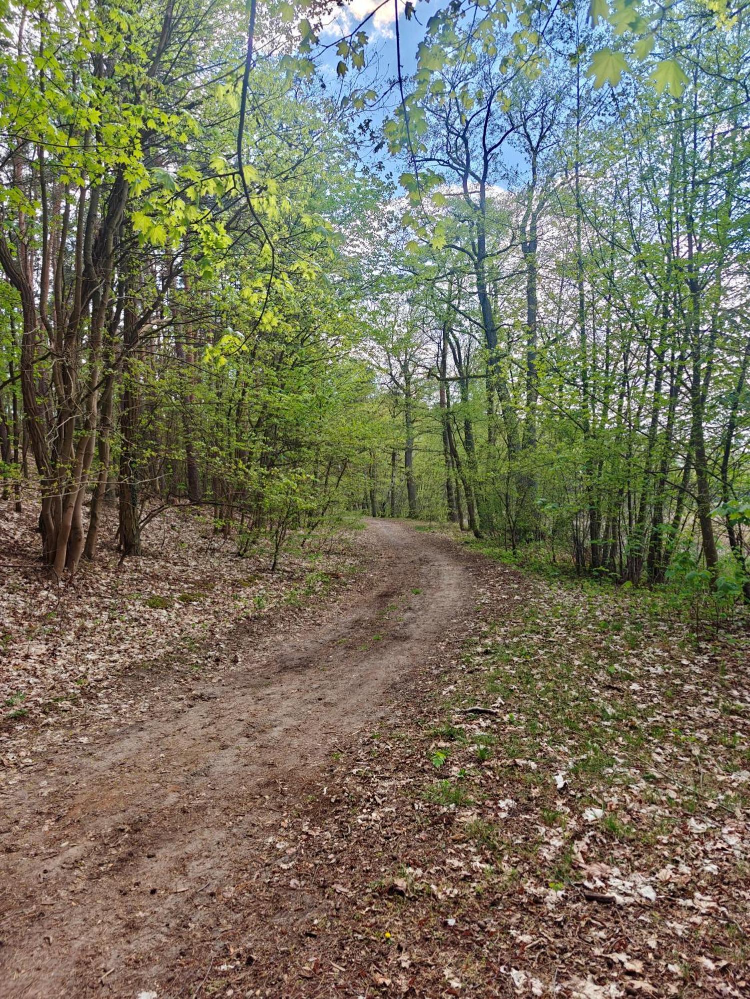 Lesna Ostoja W Centrum Puszczy Nadnoteckiej Otoczona 3 Jeziorami Holiday home